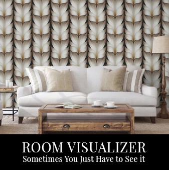 Room Visualizer.
